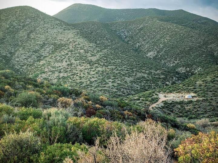 Sage Desert Dreams Mount Charleston Екстериор снимка