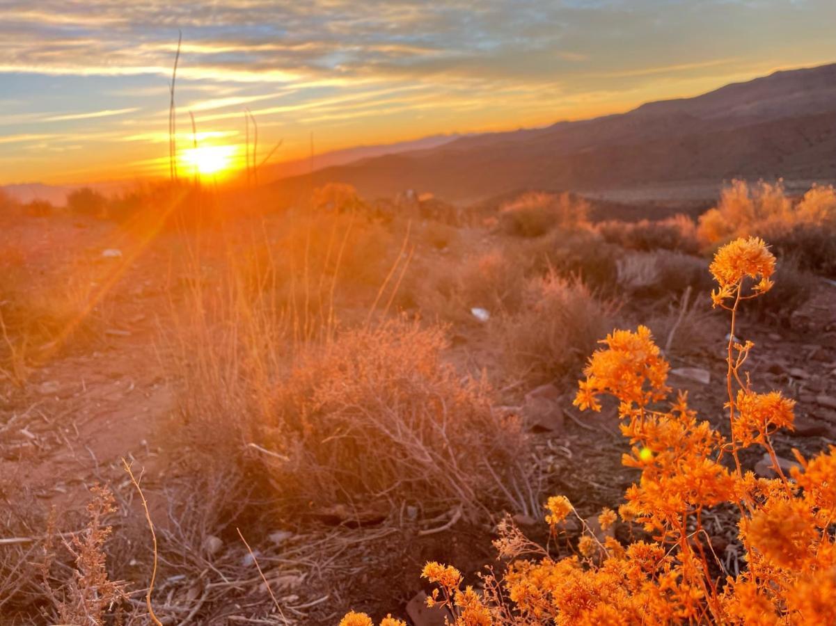 Sage Desert Dreams Mount Charleston Екстериор снимка